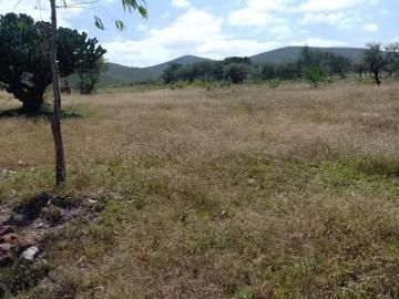 RANCHO EN TOLIMAN 512 HAS