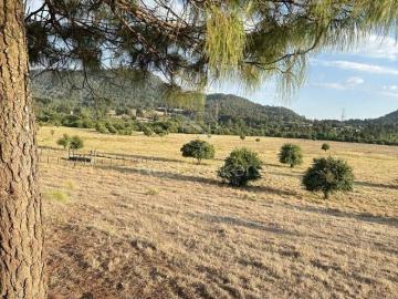 Rancho en Venta