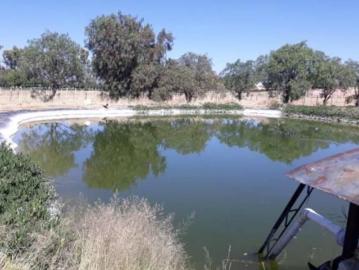 Rancho en venta