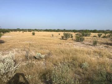 Rancho en Vallecillo, Nuevo León