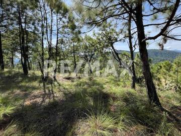 Rancho en Venta 4