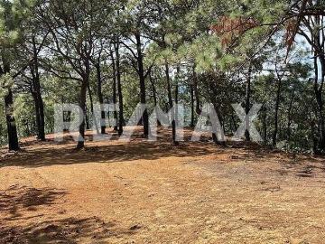 Rancho en Venta 4