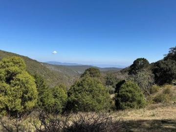 Rancho en Venta 70 Hectáreas en Villa de Zaragoza, SLP