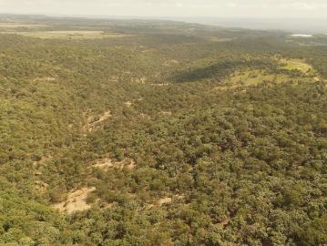 Rancho en venta 80 HECTAREAS