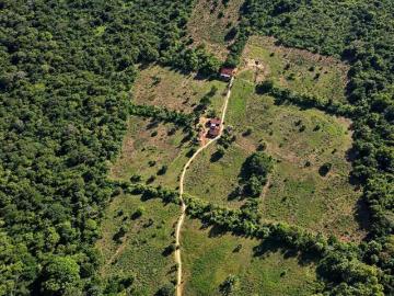 Rancho en Venta con cenotes en excelente zona ganadera del Estado de Yucatán
