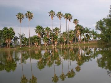 RANCHO EN VENTA CADEREYTA NUEVO LEON