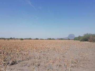 Rancho en Venta González, Tamaulipas 4