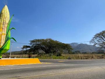 Rancho en venta de 140 Hectáreas en Villaflores