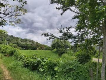 RANCHO EN VENTA DE 150 HECTAREAS, VILLAFLORES, CHIAPAS