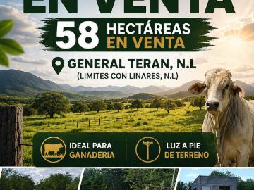 Rancho en Venta de 58 Hect?reas en General Ter?n, entre Linares y Ter?n, N.L