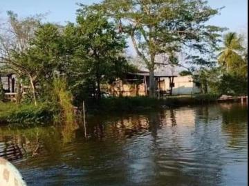 Rancho en venta en campeche 1000 hectareas