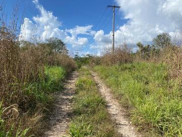 Rancho en venta en Cantamayec, Yucatán