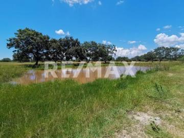 Rancho en Venta en Altamira 4