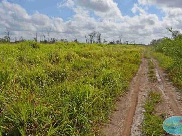 Rancho en Venta en Bacalar, Superficie 940.57 Ha