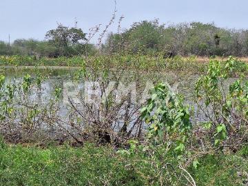 Rancho en Venta en Gonzalez