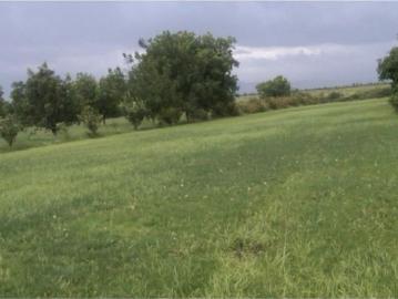 Rancho en venta en El Derramadero, Coah. México