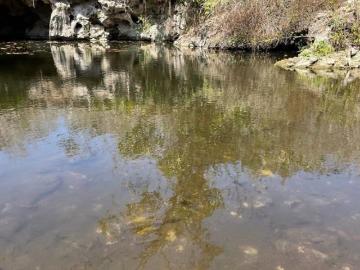 RANCHO EN VENTA EN EL ESTADO DE YUCATÁN