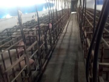 Rancho en venta en el mpo. De colón qro