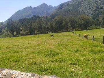 RANCHO EN VENTA EN IXHUACAN DE LOS REYES