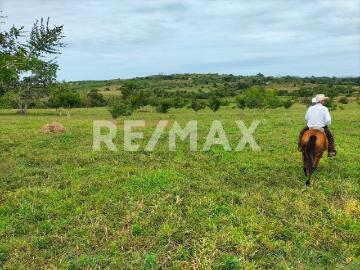 Rancho en venta en Ozuluama Veracruz