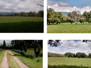 Rancho en venta en La Joya, Celaya, Guanajuato