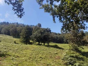 Rancho en Venta en La Viejita y Los Cajones, Hidalgo, 147. Ha