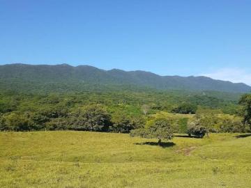 RANCHO EN VENTA EN LLERA DE CANALES, TAMAULIPAS A solo 4 km de El Encino