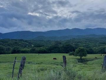 RANCHO EN VENTA EN LLERA DE CANALES, TAMAULIPAS A solo 4 km de El Encino