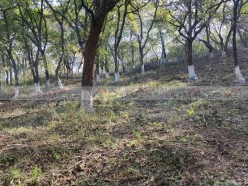 Rancho en venta en Monterrey