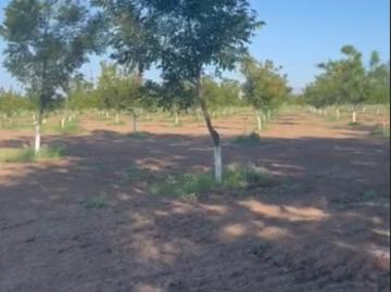 Rancho en venta en Meoqui, Cancún, Chihuahua