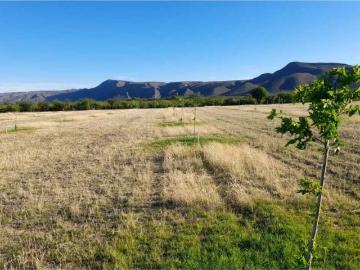 Rancho en venta en Nuevo Pob de Nadadores, Coah. México