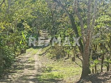 Rancho en venta en San Fernando, Chiapas