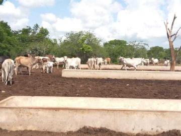 Rancho en venta en San Francisco, Panabá, Yucatán