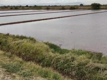 Rancho en Venta en Santa María de Arriba, Francisco I. Madero