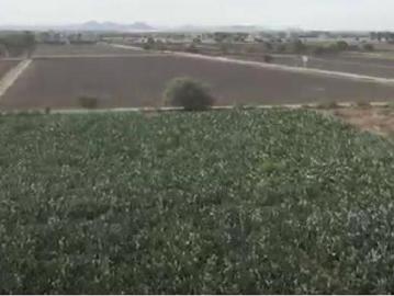 Rancho en Venta en Querétaro