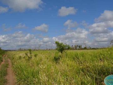 Rancho en Venta en Quintana roo, Superficie 920.37 Hectáreas