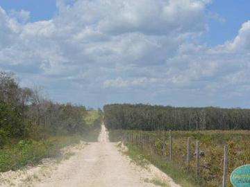 Rancho en Venta en Bacalar, Superficie 940.57 Ha
