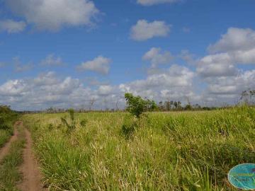 Rancho en Venta en Quintana roo, Superficie 920.37 Hect?reas