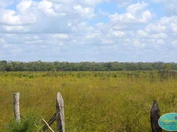 Rancho en Venta en Quintana roo, Superficie 920.37 Hect?reas