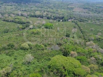 Rancho en Venta en Tepetzintla
