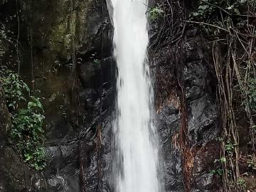 Rancho en Venta en Tepetzintla, Veracruz