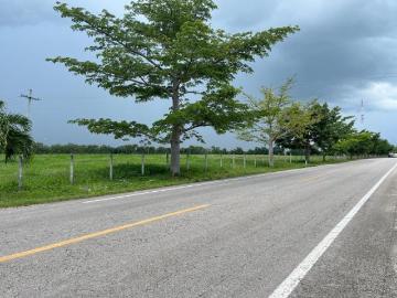 Rancho en Venta en Tizimin a orilla de carretera en Periferico Tizimin Centro