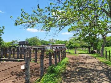 Rancho en venta en Tierra Blanca, Veracruz