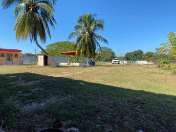 RANCHO EN VENTA EN UMAN, DZIBIKAK, 4 HECTAREAS