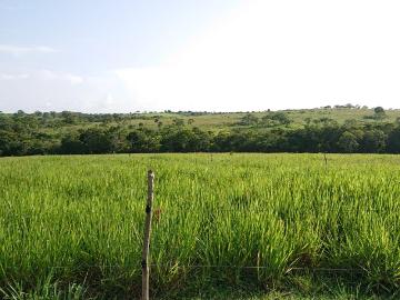 RANCHO EN VENTA Ejido Palihuiche, Ozuluama, Veracruz