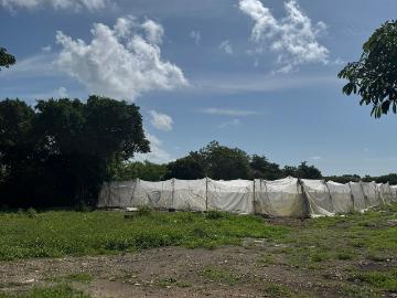 Rancho en venta operando con accesos por carretera principal Cansahcab Yucatan