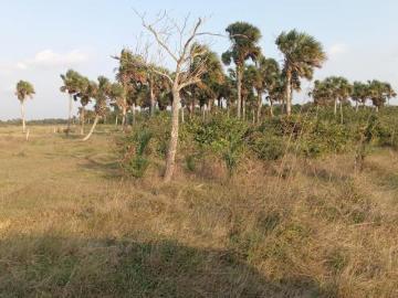 Rancho en venta Los negritos, Tlalixcoyan veracruz