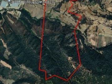 Rancho en venta en San Bartolo Morelos, Estado De México