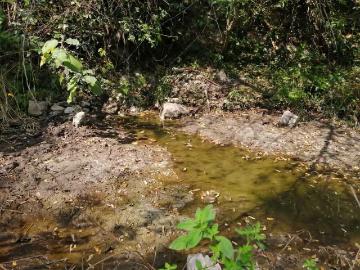 Rancho en Venta San Luis Potosi, La Hincada