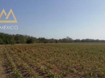 RANCHO EN VENTA VILLA GONZALEZ